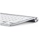 Apple Keyboard Wireless -Arabic