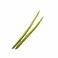 Drum Stick