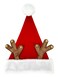 Santa Hat with Antler