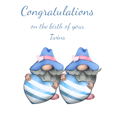 LKs Invitations Twin Gnomes boys