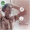 Dettol Oud Care Antibacterial Bar Soap 165G Oud