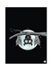 Animals Metal Plate Poster Multicolour 15x20centimeter