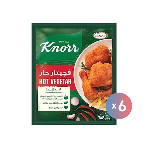 فاين فودز كنور توابل فجيتار - حار - 35 جرام * 6 أكياس