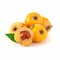 Loquat