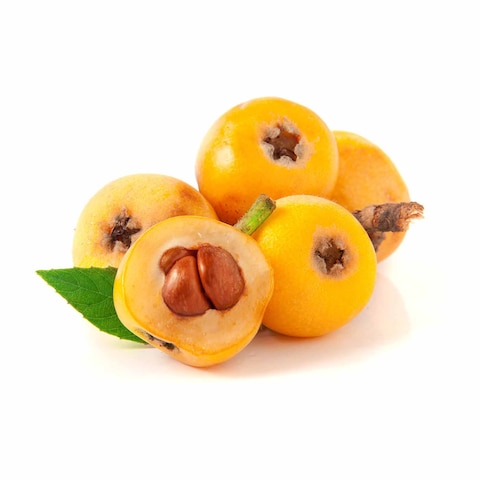 Loquat
