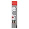 Nataraj Pencils Hb Silver 12Pcs Pack