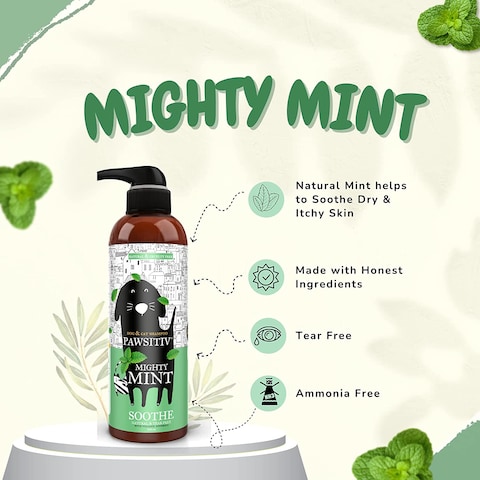 Pawsitiv Natural and Tearless Shampoo for Dogs &amp; Cats - Soothes Itchy &amp; Dry Skin, Gives Healthy &amp; Shiny Coat, Has Calming effect with Long Lasting Odour Control - 500ML (Mint with Calendula)