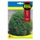 Fito Seeds Kochia