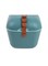 Polarbox Classic Cooler Box with Leather Strap, Blue - Marine Green Rigid Thermal Insulated Ice for Beach, Picnic Party Convertible Lid Polypropylene Insulation 12L PB-9311
