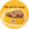 Pedigree Lamb Flavoured Wet Food for Dog, 400g