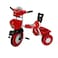 Tricycle Single Seat DTC-805 Assorted Color