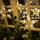 LED Fairy String Light Star Light Christmas Bedroom Outdoor New Year Wedding Decoration
