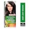 Garnier Color Naturals Cr&egrave;me Nourishing Permanent Hair Color, 4.1, Deep Ashy Brown
