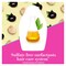 Ogx Hydrate And Defrizz Plus Shampoo with Kukui Oil - 385ml