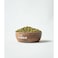 Moong Whole