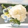 Vsell24 10 Inch Round Glass Bowl Aquarium Fish Tank Flower Vase Centerpiece Bubble Planter Terrarium Fish Bowl For Wedding Event Clear