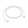 Apple Lightning To USB C Cable 1m