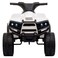 Power Wheelz Electric Ride-On ATV Quad Bike Multicolour