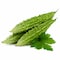Karela Asian Vegetables - 500 Gram