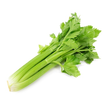 Celery Stick Import