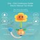 Sunflower Bath Toys