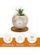 Generic 6 Pcs Cute Succulent Planter, Succulent Pots With Drainage Hole Flower Plant Pot Cartoon Ceramic Tiny Pot For Indoor Mini Flower Planters Cactus Container Set Of 6