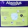 Carrefour Absodys Pants Night Adult Diaper Medium White 14 Diapers