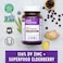 New Chapter Zinc Supplement, New Chapter Fermented Zinc Complex, One Daily For Immune Support + Skin Health + Non-GMO Ingredients, Easy To Swallow &amp; Digest, 60 Count (2 Month Supply)
