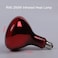 SIGMA BR40 INFRARED 250W HEAT LAMP RED COLOR