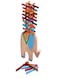 Generic Elephant Balancing Toy