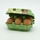 Carrefour bio organic eggs 6 pieces