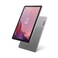 Lenovo Tab M9 310FU WIFI 9-inch 32GB Storage, 3GB RAM, Arctic Grey