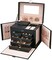 Aiwanto Portable Jewelry Box Jewelry Organizer Necklace Bracelet Ring Earrings Organizer (Black)