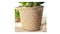 Plant pot, handmade bamboo, 32 cm