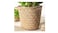 Plant pot, handmade bamboo, 32 cm
