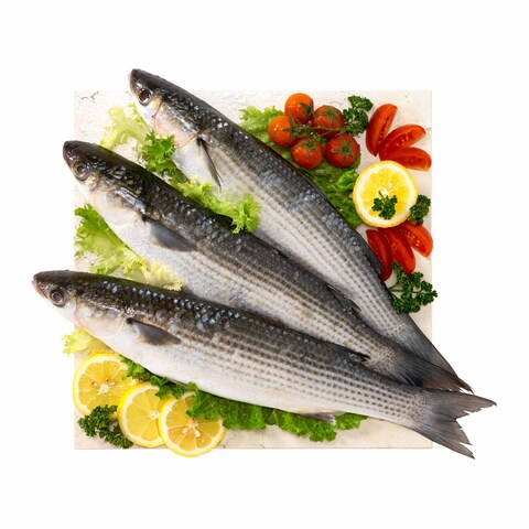 BATAREKH MULLET