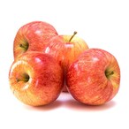 Buy Apple Royal Gala Jumbo in Saudi Arabia