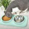 Cat Food Bowls, Cat Bowls Non-Skid and Non-Spill Silicone Mats with Stand, Removable Stainless Steel Food and Water Dishes for Cats, Small Size Dogs