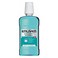 Enliven Coolmint Mouthwash 500 ml
