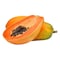 Premium Paw Paw