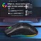 HXSJ T66 RGB 2.4G Wireless Gaming Mouse RGB Lighting Charging Mouse with Adjustable DPI Ergonomic Design for Desktop Laptop (Black)
