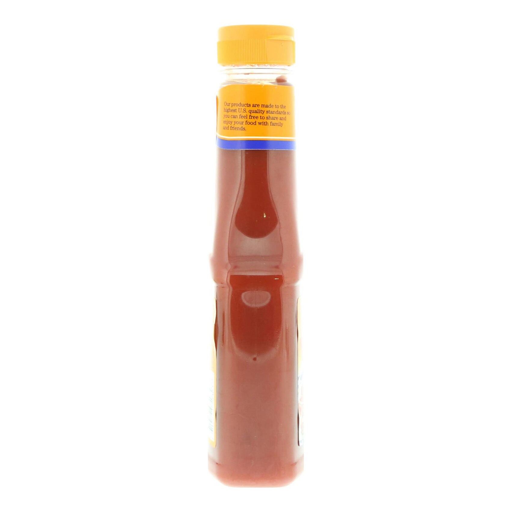American Garden Ketchup Sqz 425 Gram product thumbnail 7