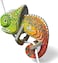 Eugy 075 Chameleon Eco-Friendly 3D Paper Puzzle [New Seal]
