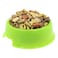Agrobiothers Bowl For Dog And Cat Orange 230mm