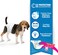 Four Paws Wee-Wee Disposable Diapers, 12 Pack Medium
