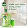 Dettol Antibacterial Floor Cleaner Green Apple Scent, 1.8L