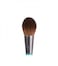 Ecotools Interchangeables Rounded Cheek Head Brush