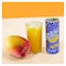 Rani Mango Juice - 235 ml