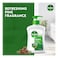 Dettol Original Liquid Handwash 400ml Pack of 2