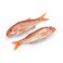 Red Mullet Sultan Heide